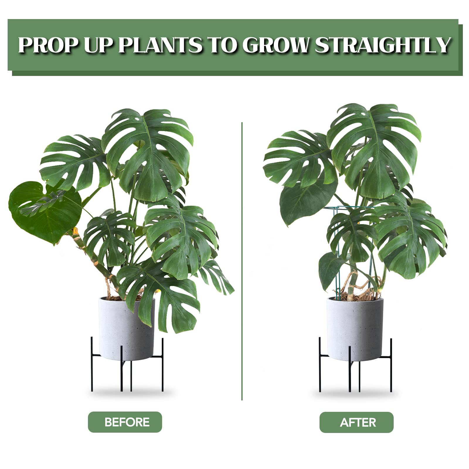 Joyhalo peony cage around a plant providing stable support