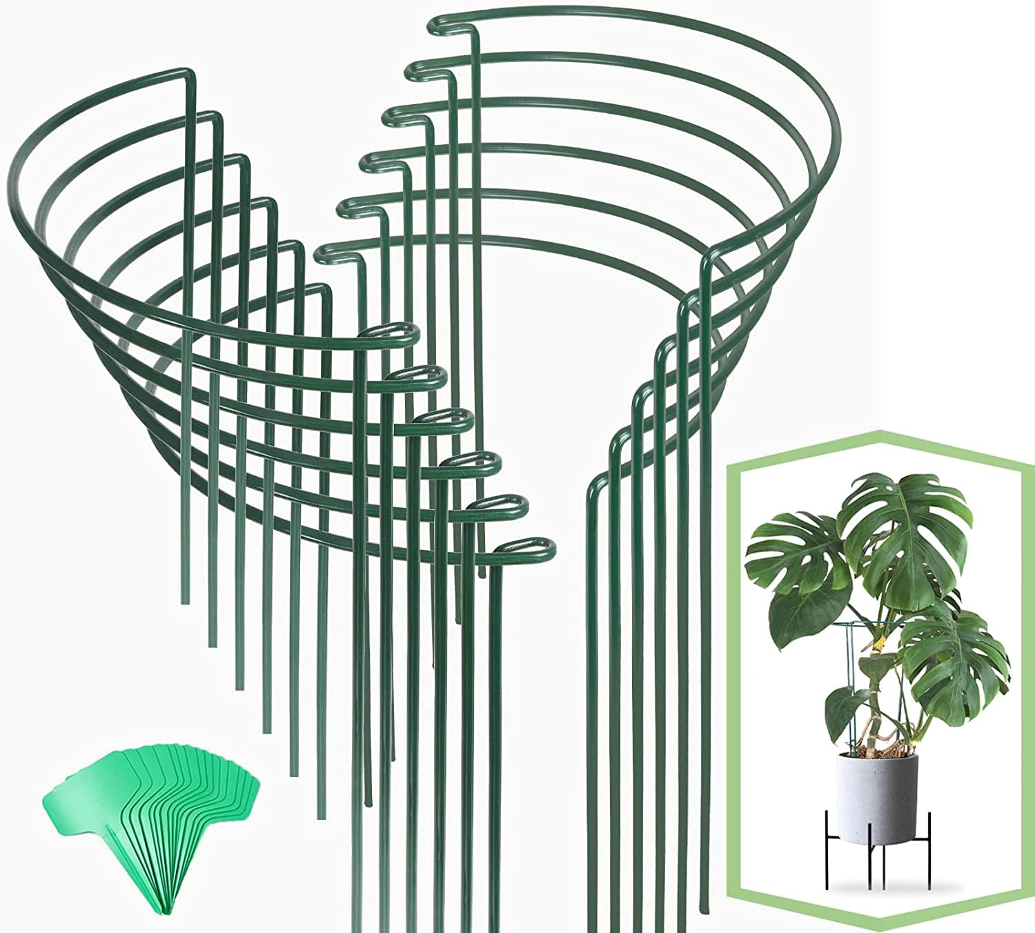 Joyhalo 16-inch plant stake supporting upright growth for tall blooms