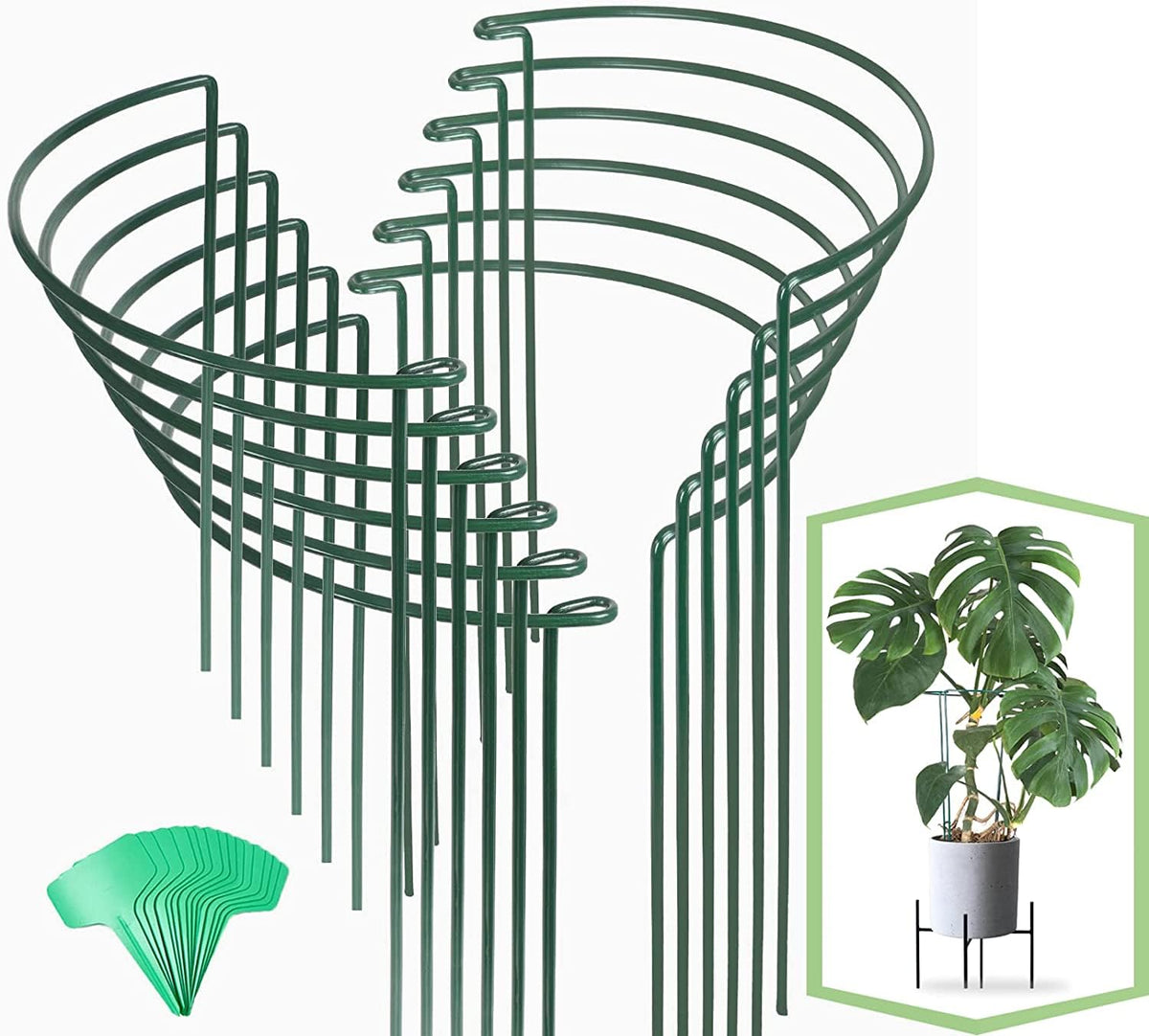 Joyhalo 16-inch plant stake supporting upright growth for tall blooms