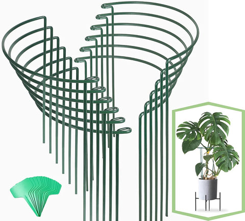 Joyhalo 16-inch plant stake supporting upright growth for tall blooms