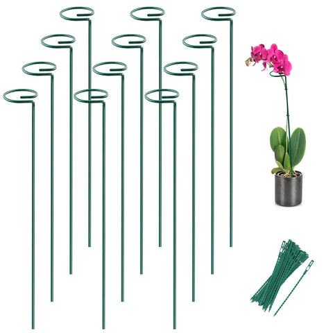 Joyhalo plant stakes with ring design stabilize stems for healthy growth.