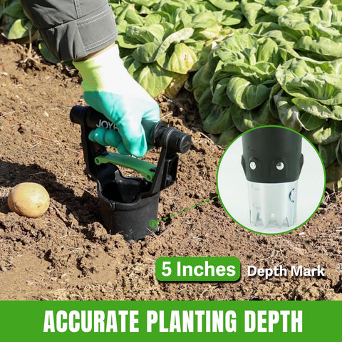 JoyHalo versatile bulb planter for tulips, daffodils, lilies, and more in your garden.