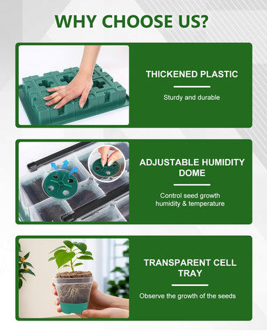 JoyHalo premium clear planters let you monitor soil moisture while transplanting.