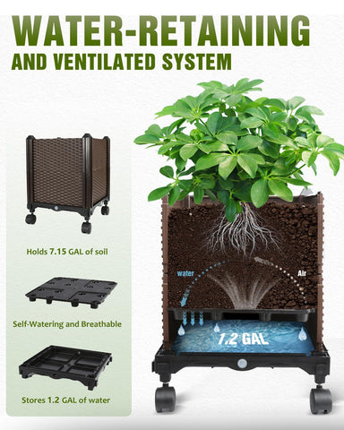 joyhalo self watering reservoir keeps soil moist with minimal effort