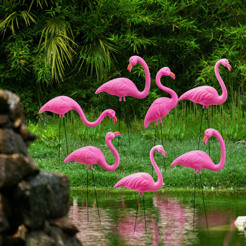 JOYIN vibrant flamingos brighten luau parties and outdoor gatherings