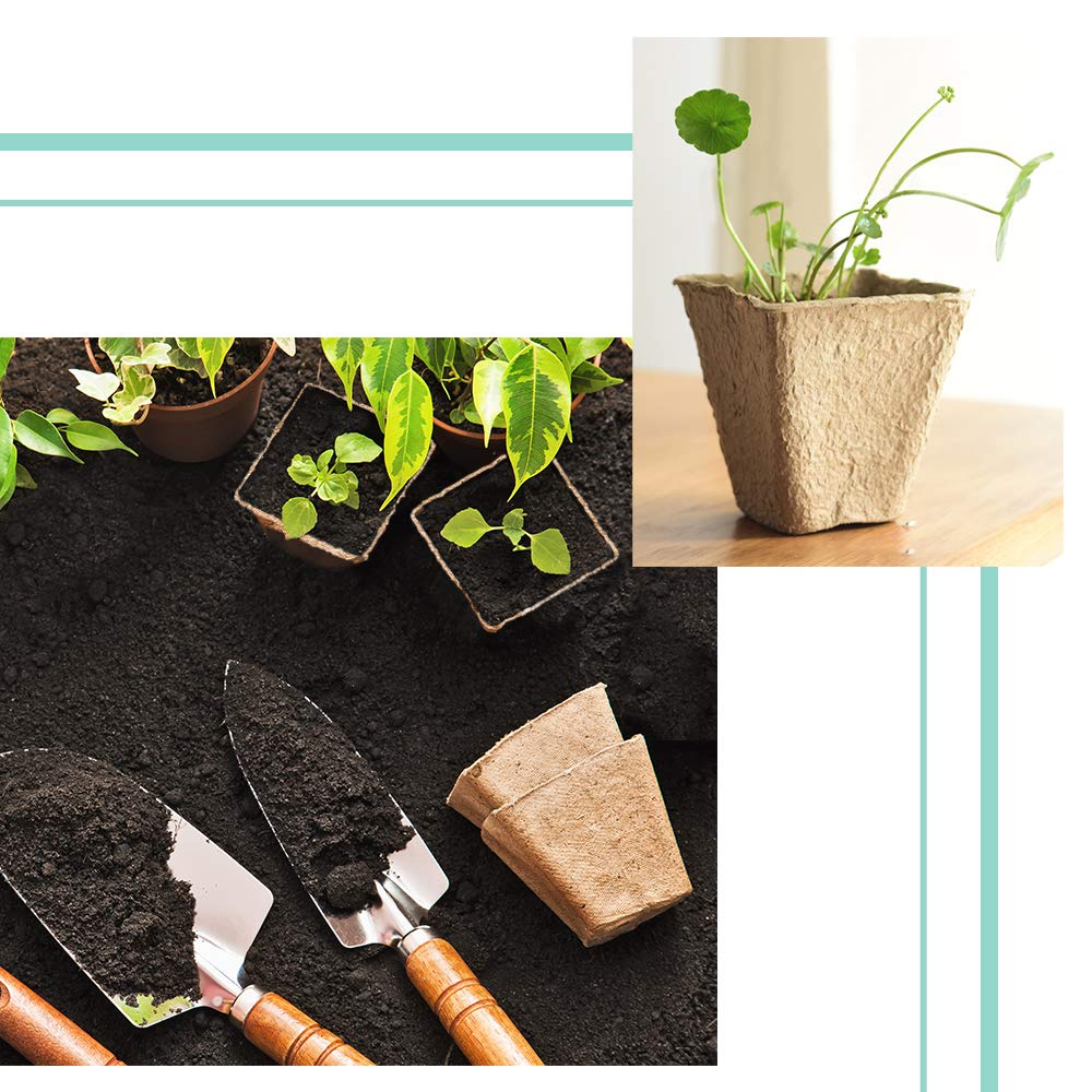 JOYSEUS 30-pot complete set helps organize seeds for later planting.