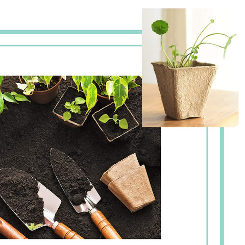 JOYSEUS 30-pot complete set helps organize seeds for later planting.