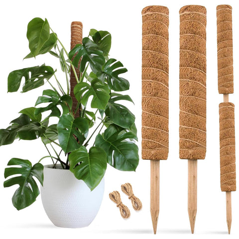 Joyseus moss pole 30-inch two-pack supports climbing plants with natural aesthetics.