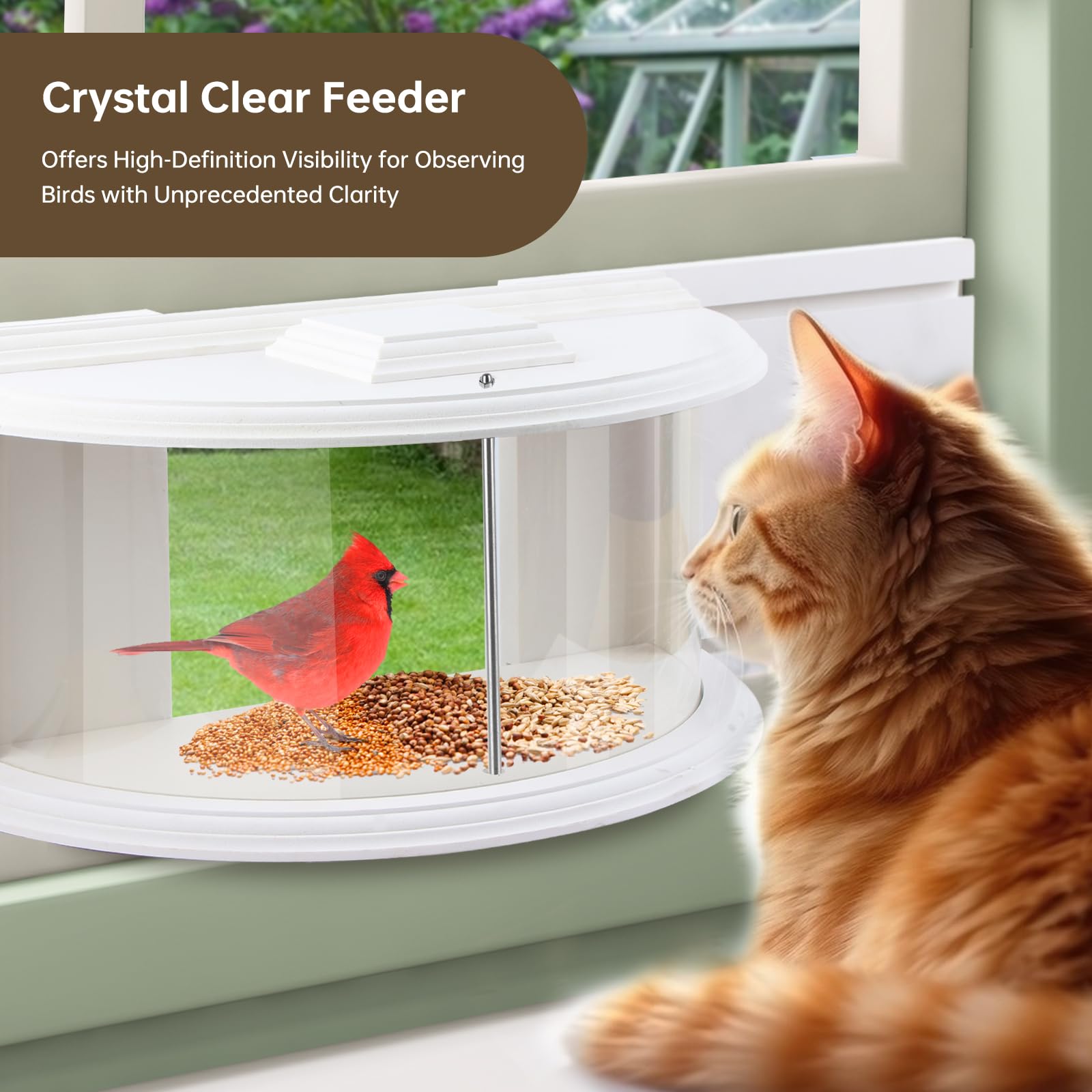 A thoughtful JOYSEUS gift for nature lovers that enhances home ambiance.