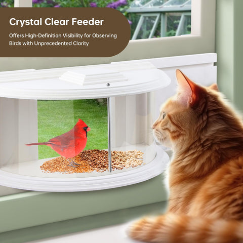 A thoughtful JOYSEUS gift for nature lovers that enhances home ambiance.
