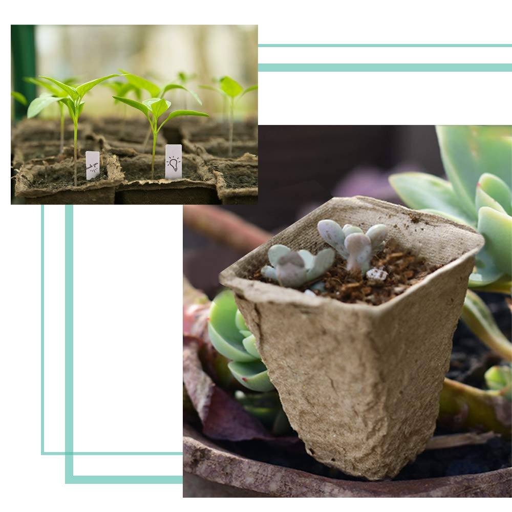 JOYSEUS eco-friendly biodegradable pots reduce waste during seedling propagation.