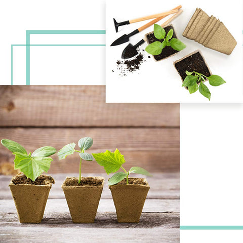 JOYSEUS indoor garden starter kit with peat pots for thriving seedling growth.
