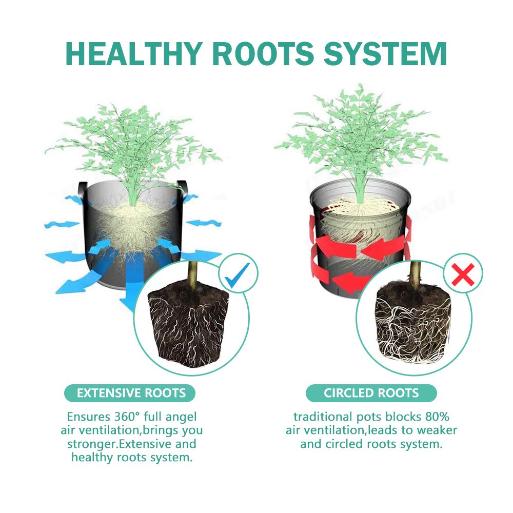 JOYSEUS peat pots for flowers, herbs, and vegetables in all-season seed starting.