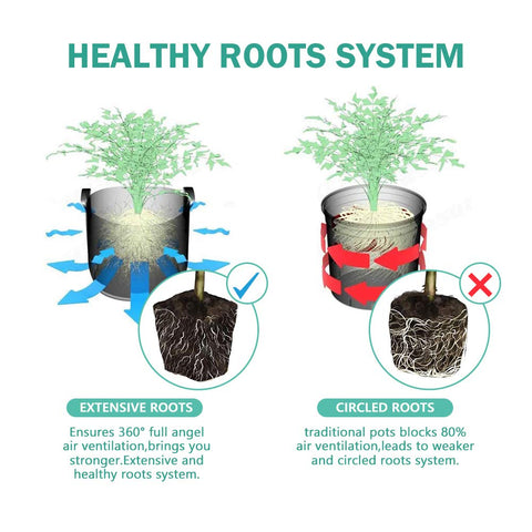 JOYSEUS peat pots for flowers, herbs, and vegetables in all-season seed starting.