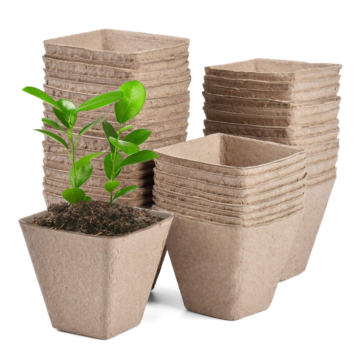 JOYSEUS 3.25-inch seed starter pot for easy transplanting and healthy seedlings.