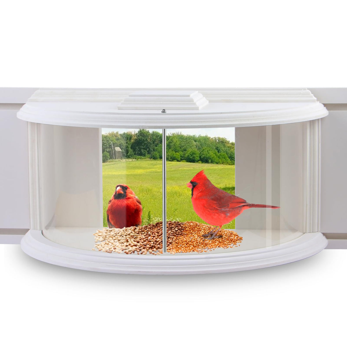 JOYSEUS Window Bird Feeder offers a 180° view for close indoor birdwatching.
