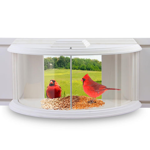 JOYSEUS Window Bird Feeder offers a 180° view for close indoor birdwatching.