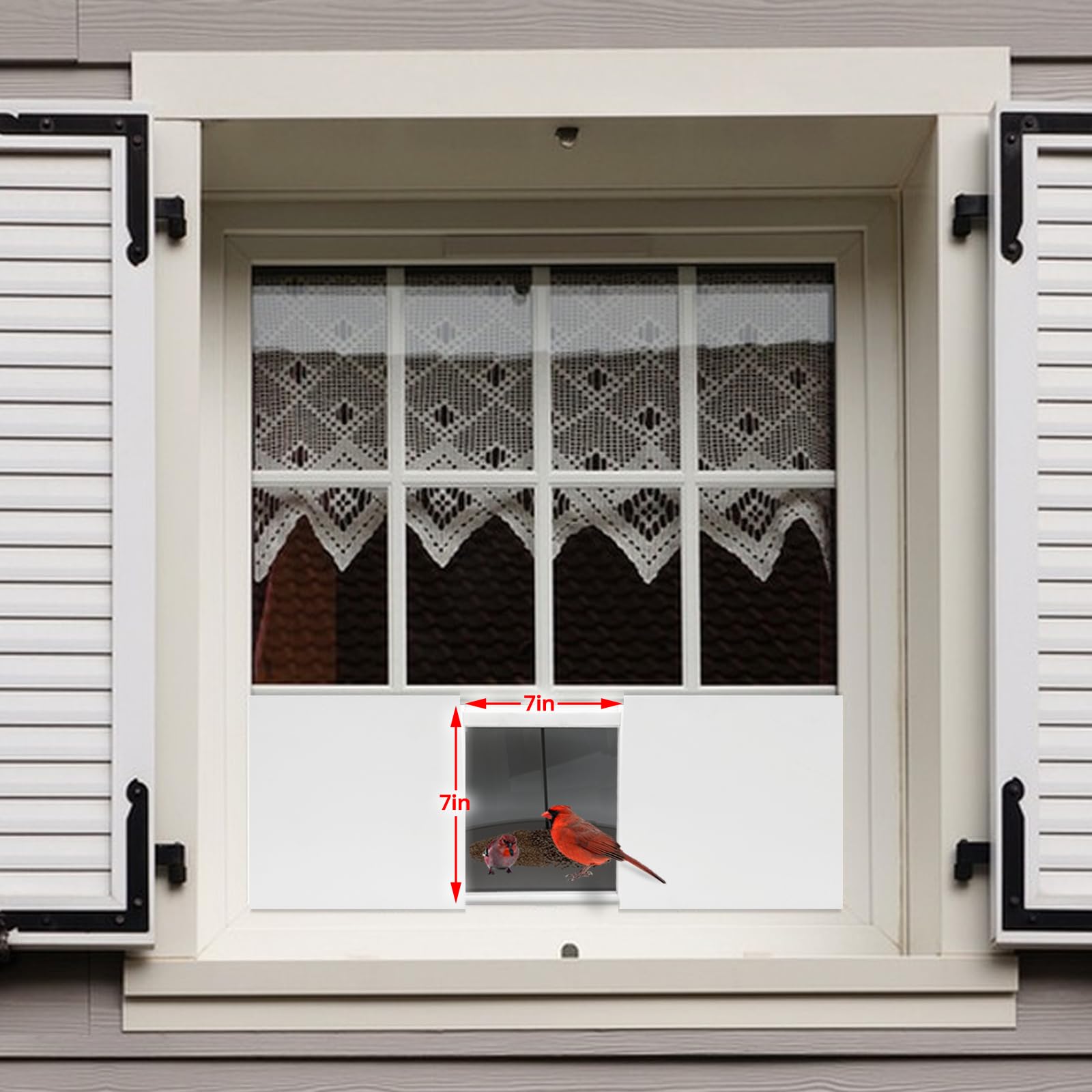 Compact JOYSEUS feeder brings nature’s activity to your window sill daily.