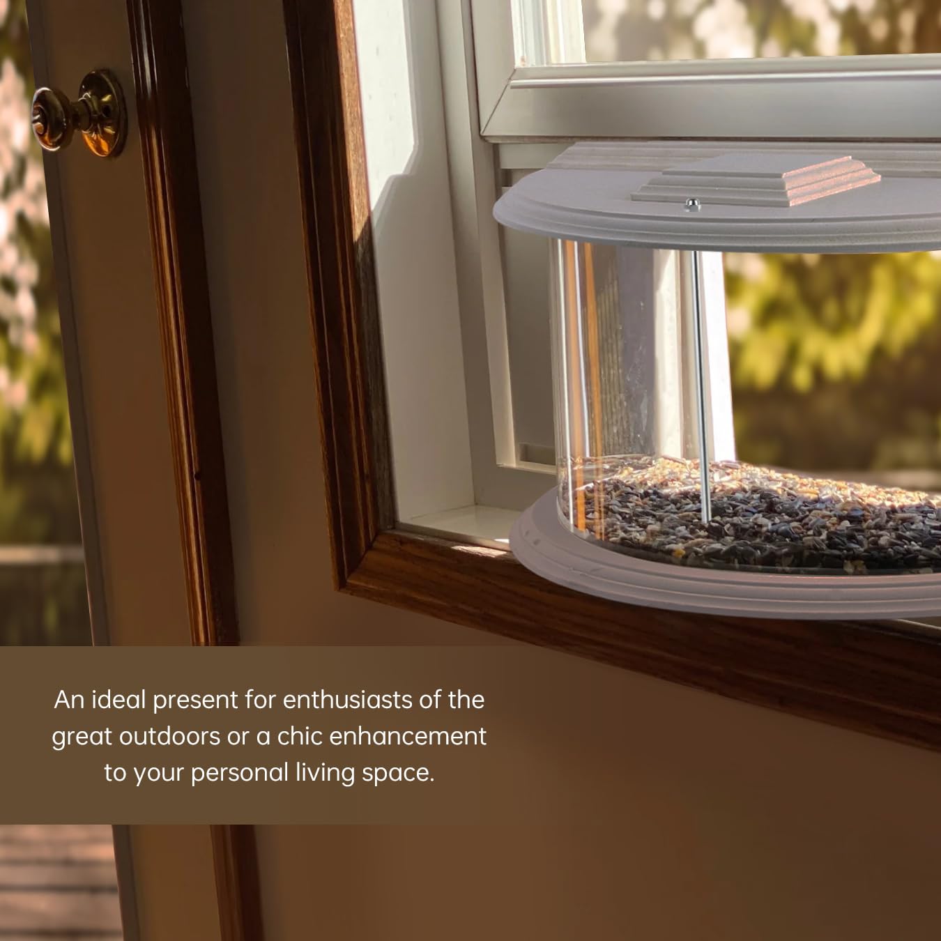 Educational entertainment as birds explore seeds at your window with JOYSEUS feeder.