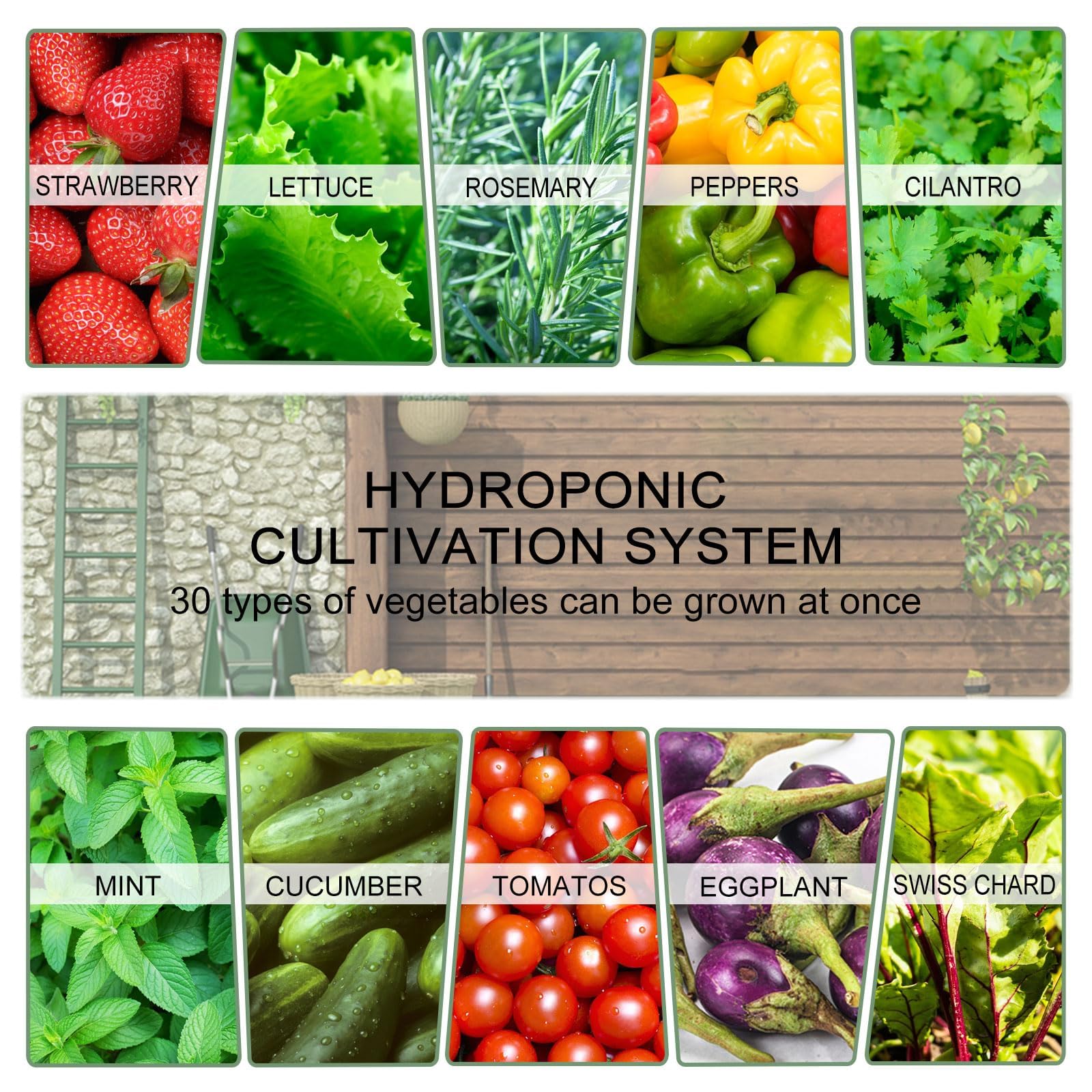 JPWDDWYT 30-plant capacity for diverse indoor harvests