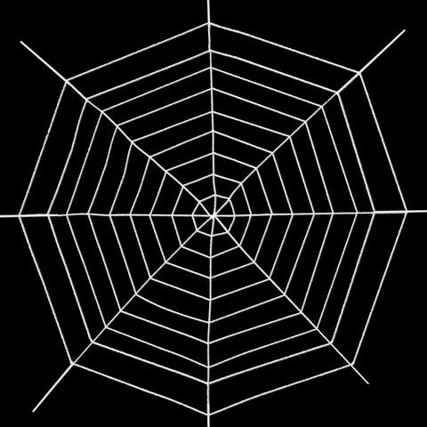 Jremreo 12ft nine-ring spider web decor on wall for dramatic Halloween ambiance