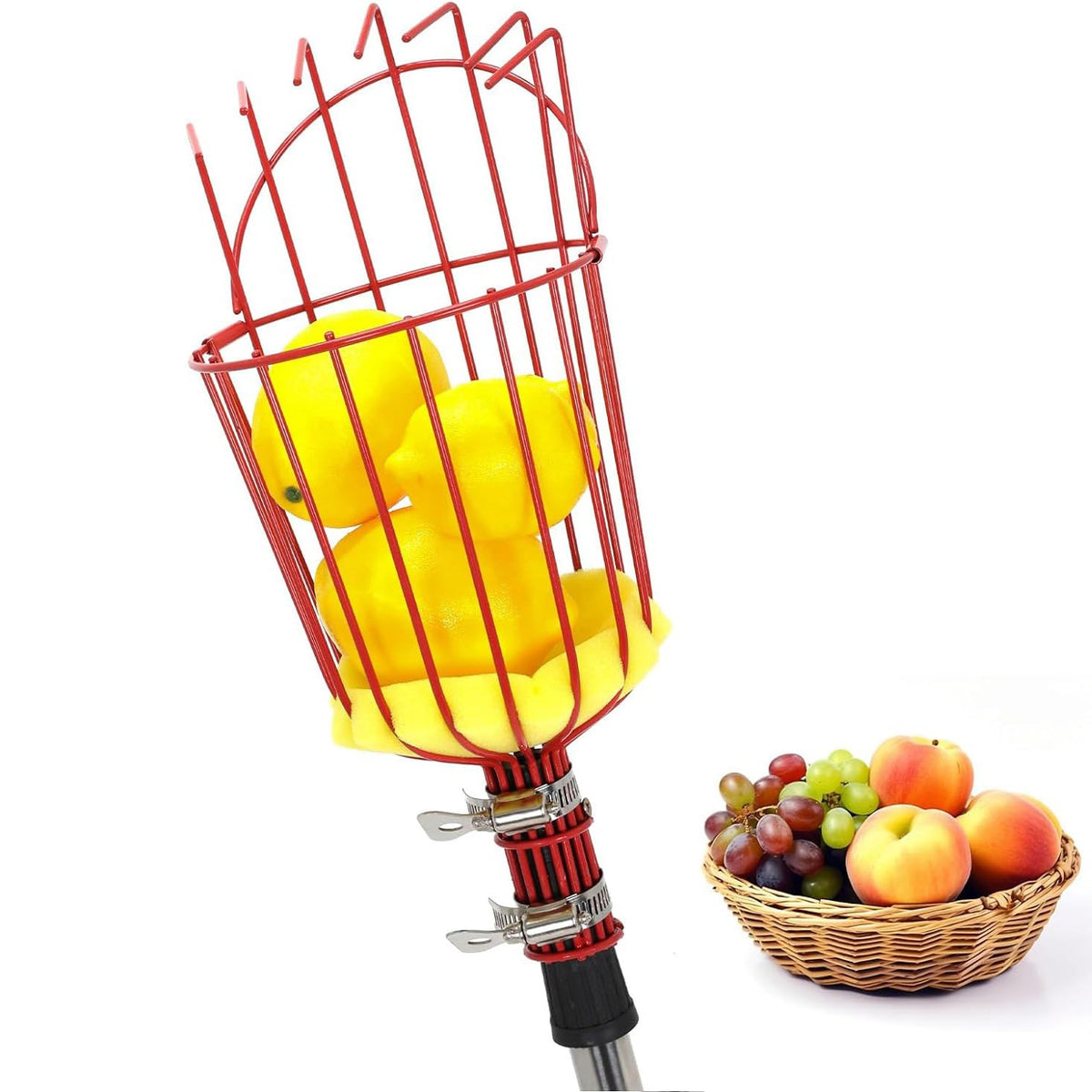JRPLXIML fruit picker basket with apples demonstrating bruise-free harvest.