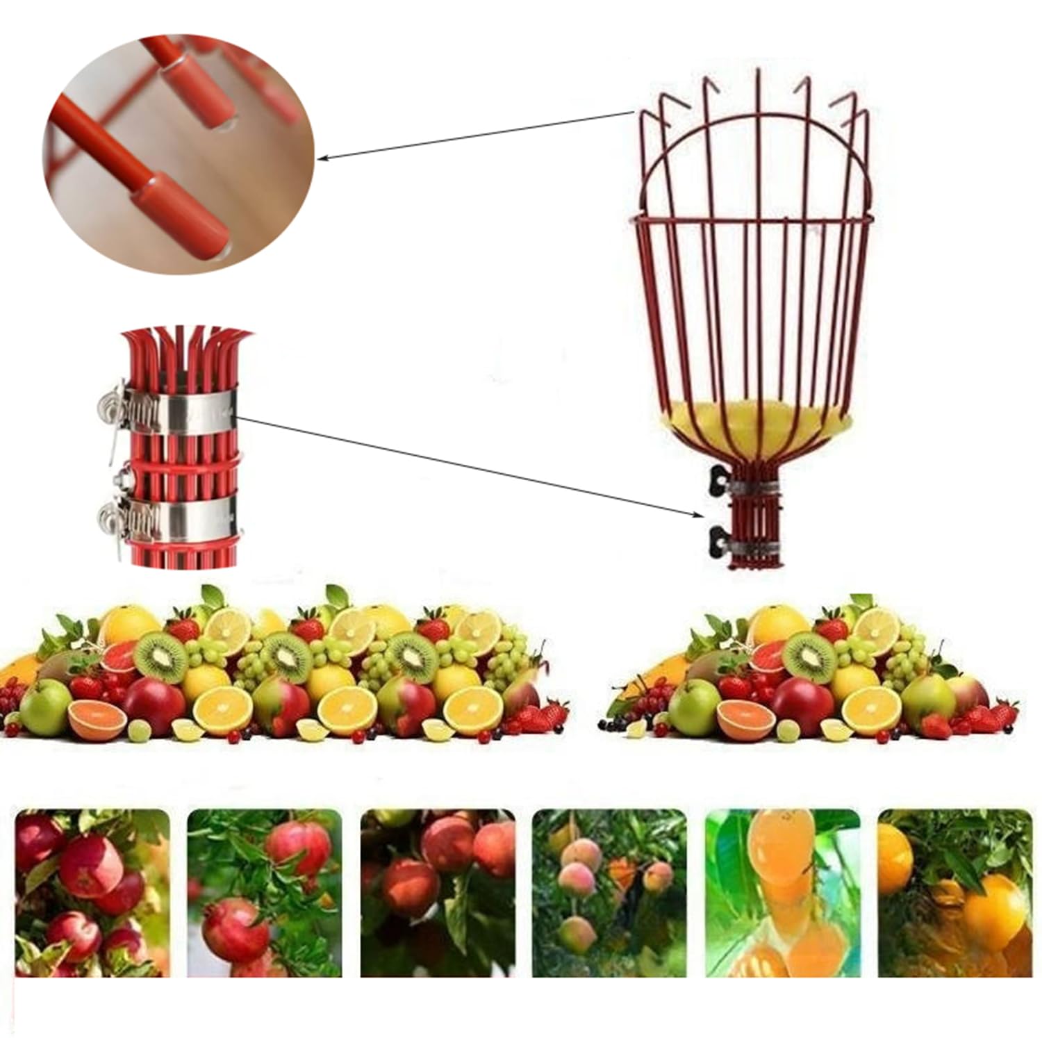 JRPLXIML fruit picker basket safely gathering avocados, no ladder needed.