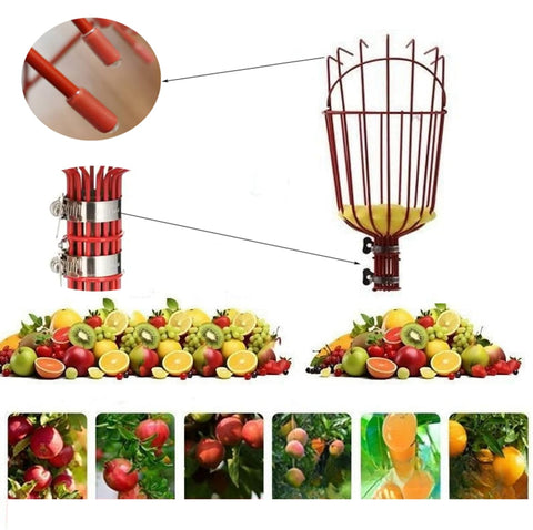 JRPLXIML fruit picker basket safely gathering avocados, no ladder needed.
