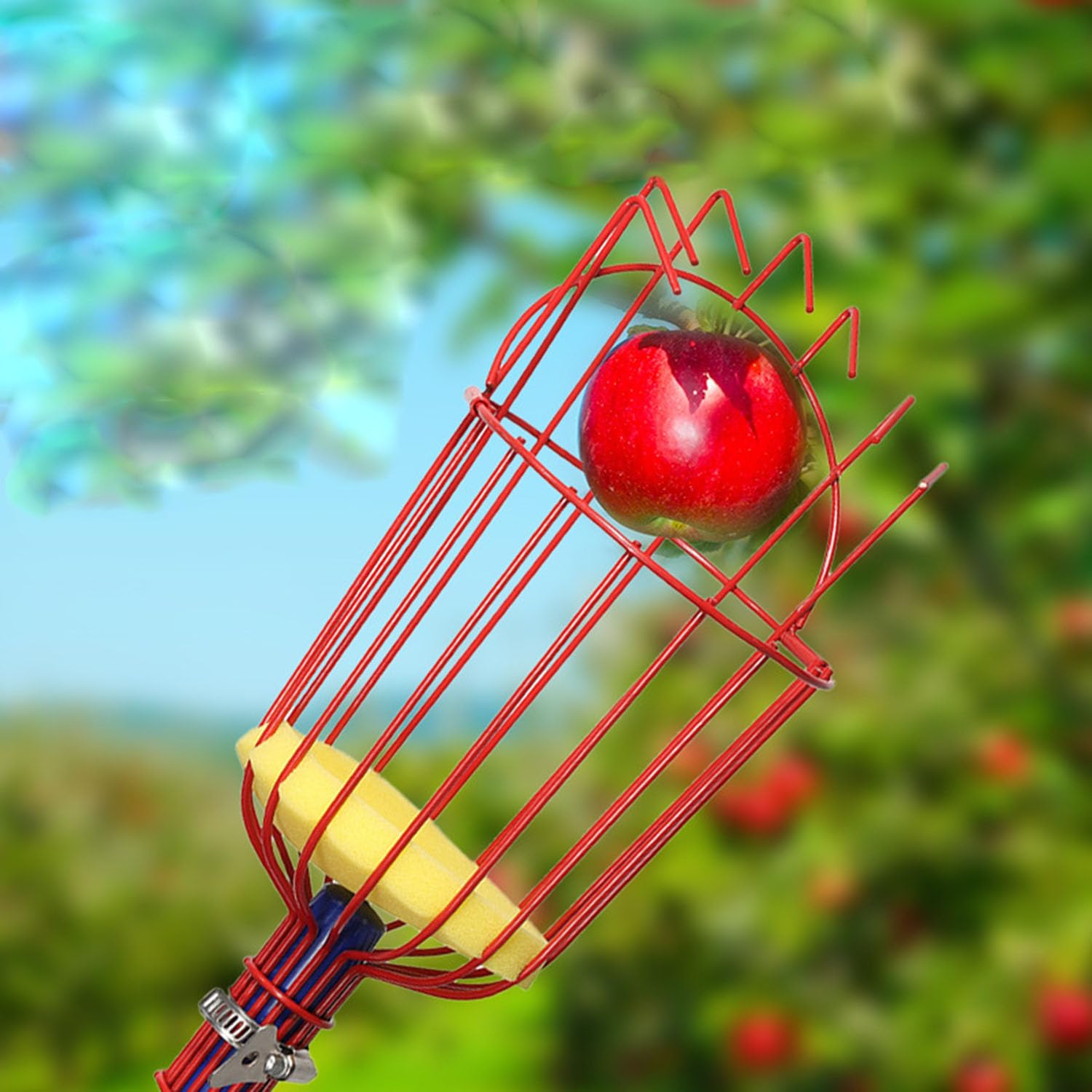 JRPLXIML cushion supports fruit during harvest for gentle handling.