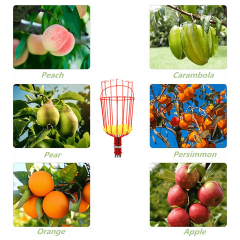 JRPLXIML fruit picker basket ready for oranges, protecting fruit during picking.