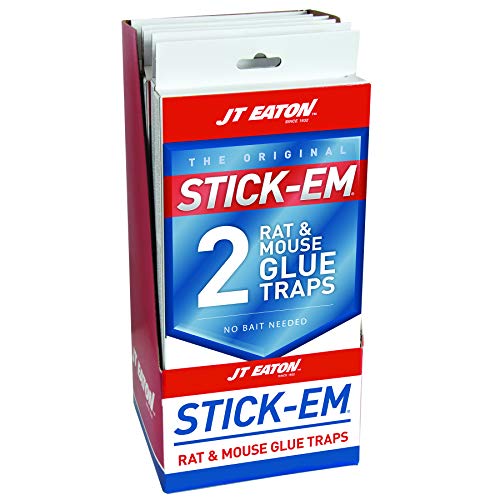Close-up of JT Eaton 155N Stick-Em glue trap showing adhesive surface.