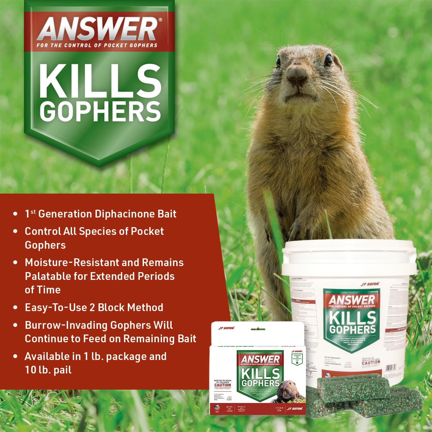 Answer pocket gopher bait blocks positioned along a gopher runways for effective use.