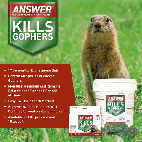 Answer pocket gopher bait blocks positioned along a gopher runways for effective use.