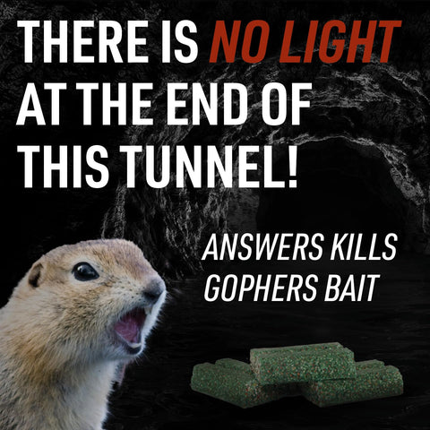 Diphacinone-based bait from JT Eaton for reliable gopher control in residential areas.