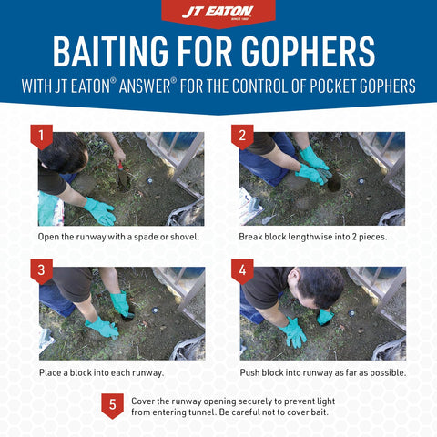 Moisture-resistant formula of Answer gopher bait remains palatable in damp conditions.