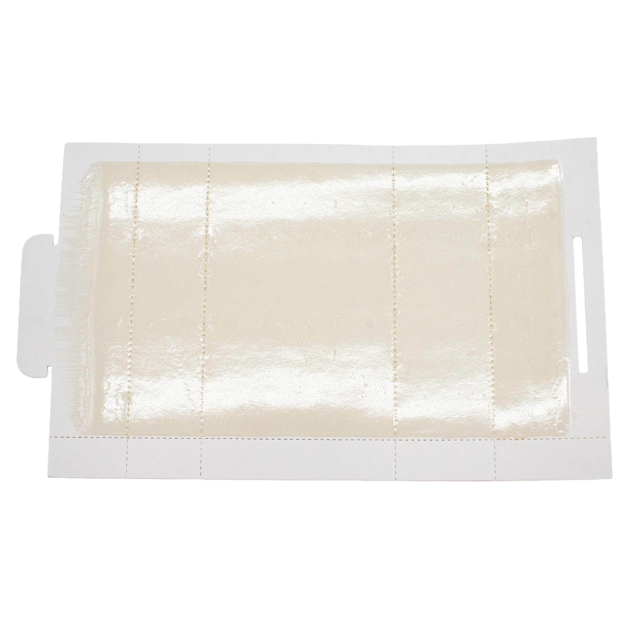 JT Eaton Stick-Em traps spiders and crawling insects reliably.