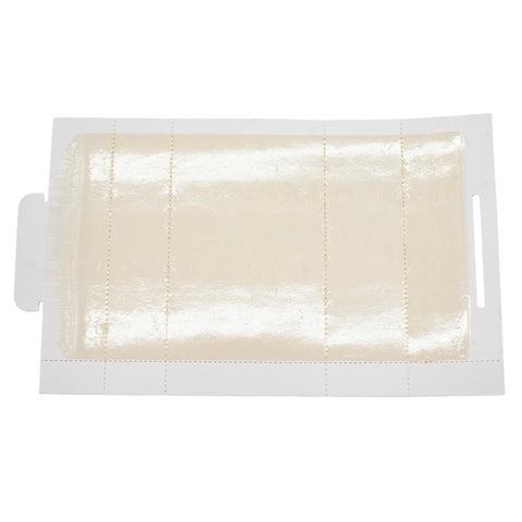 JT Eaton Stick-Em traps spiders and crawling insects reliably.