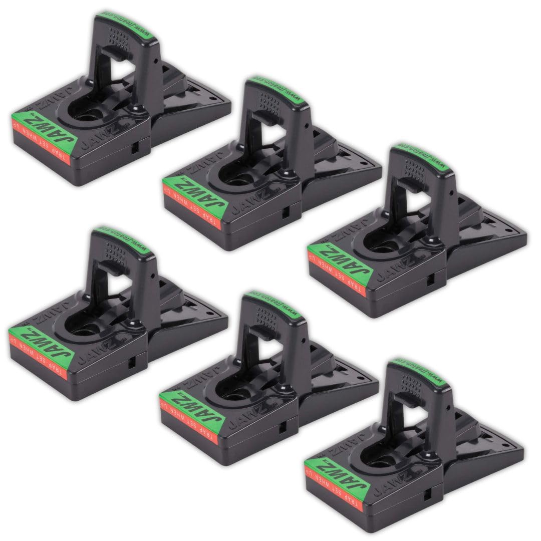 JAWZ™ plastic mouse trap set up for quick placement and handling.
