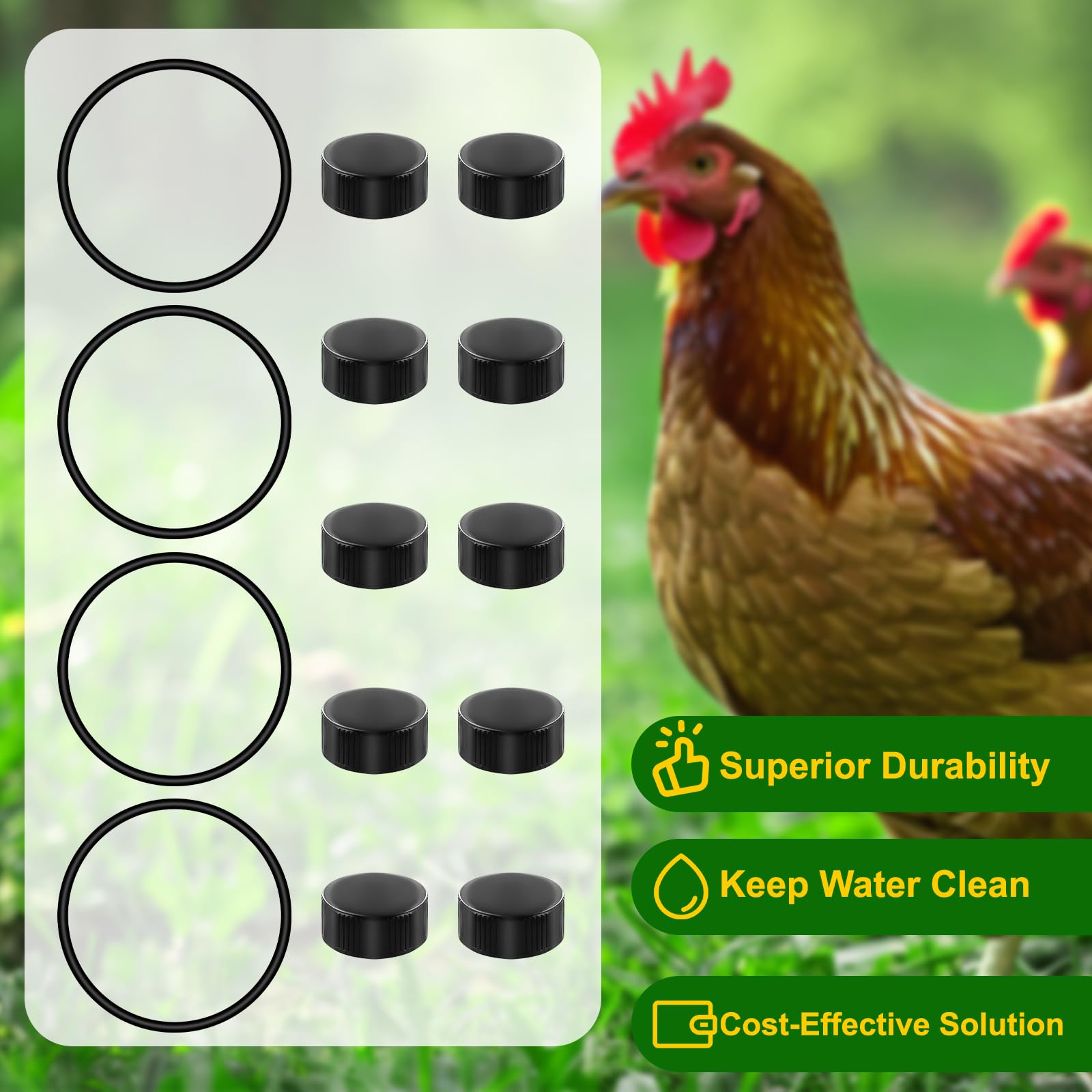 JTJEI black plastic caps resist wear, extending waterer life.