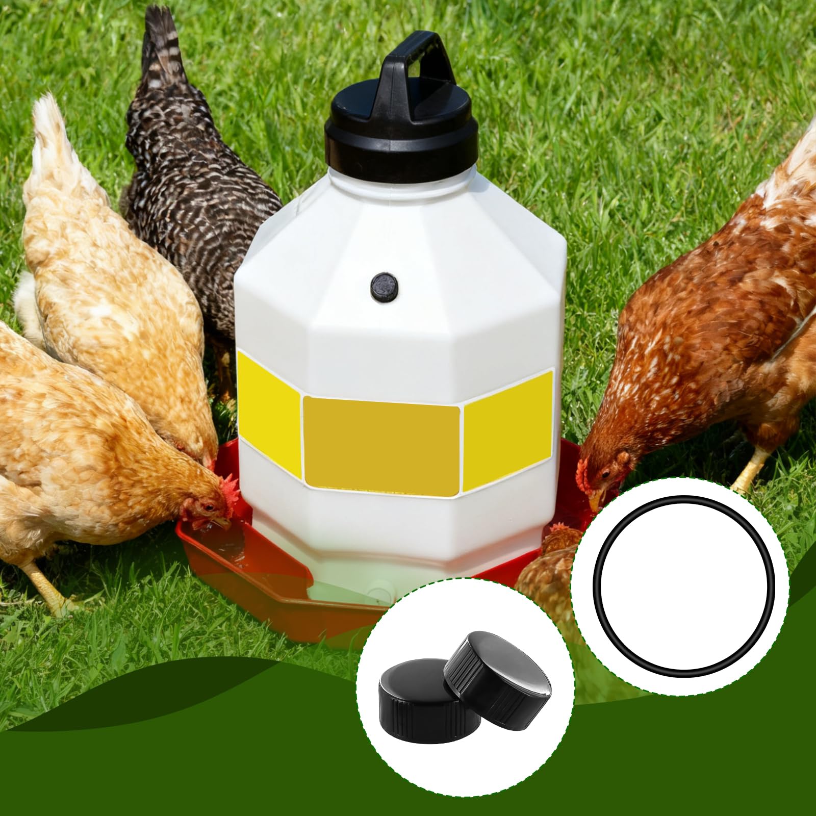 JTJEI simple installation of waterer parts ensures steady hydration.