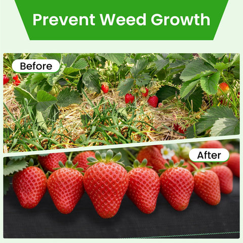 JTSIOV permeable ground cover allowing water and air to reach soil