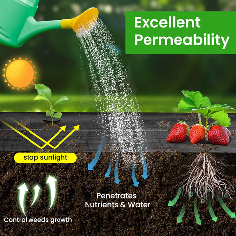 JTSIOV weed barrier allows nutrients through while suppressing weeds.