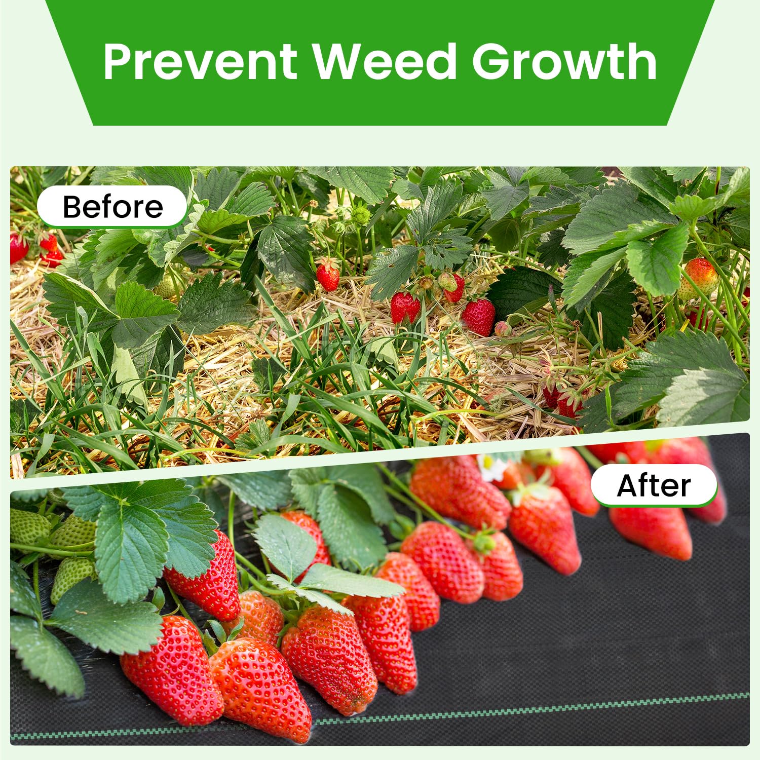 JTSIOV Weed Barrier Fabric installation pegs included for secure setup.