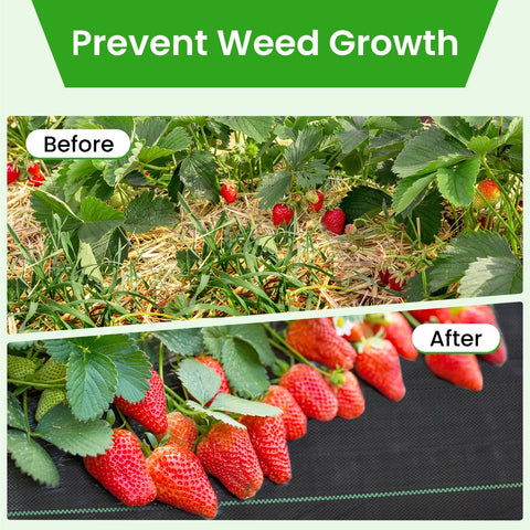 JTSIOV Weed Barrier Fabric installation pegs included for secure setup.