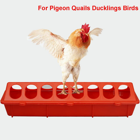 Jtuxcke plastic poultry feeder highlights durable polyethylene construction