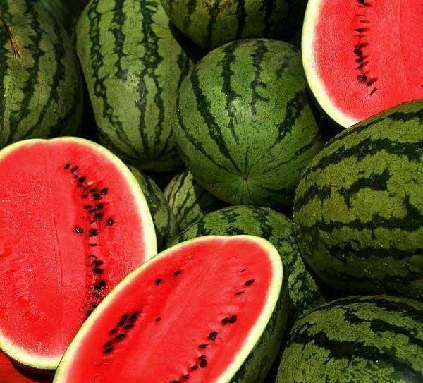 Jubilee Watermelon seeds pack ready for planting and seasonal harvest.