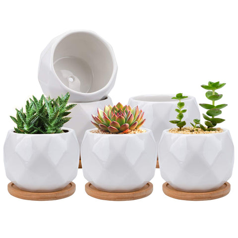 Jucoan ceramic succulent planter with diamond white finish, ideal for compact indoor displays.