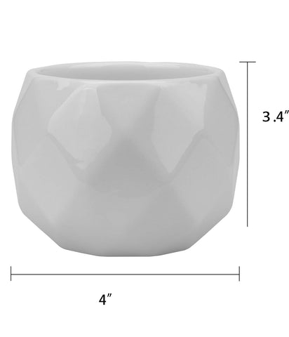 Jucoan 4-inch pot showcases clean lines and bamboo tray for tidy water collection.