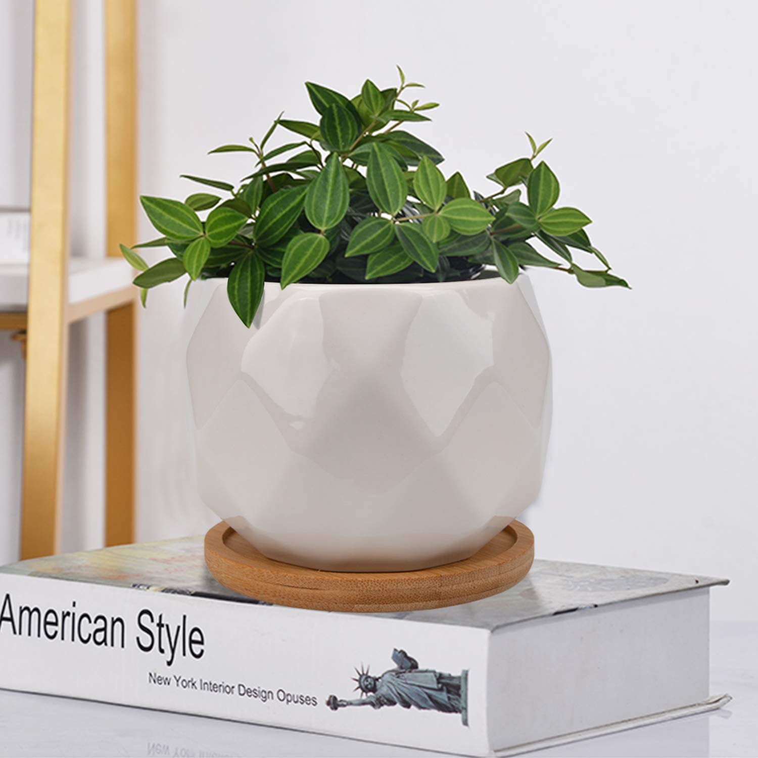 Jucoan 6-pack includes six sturdy, non-toxic pots for healthy plant growth.
