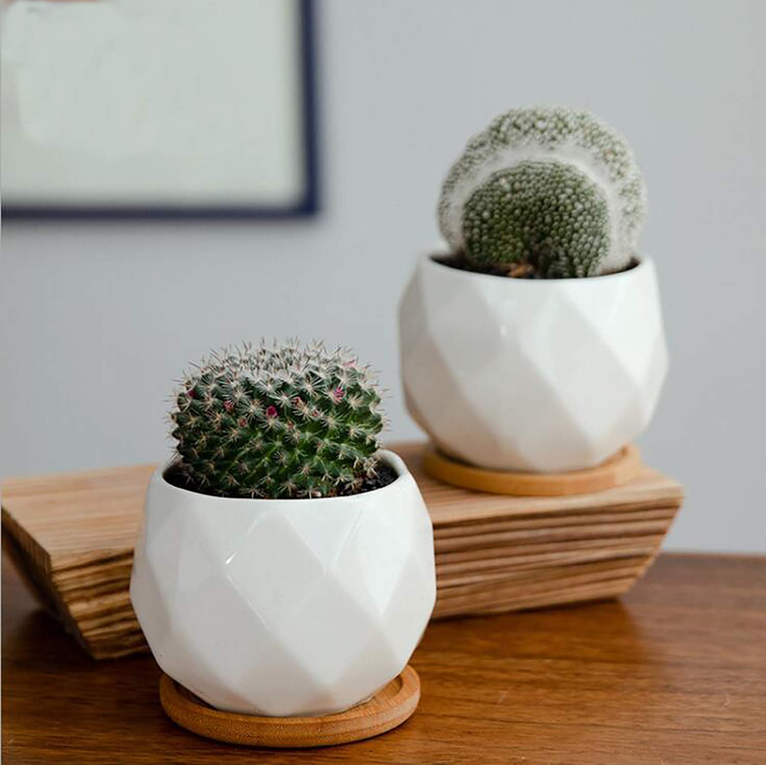 Jucoan small succulent pots prevent overwatering thanks to bottom drainage holes.